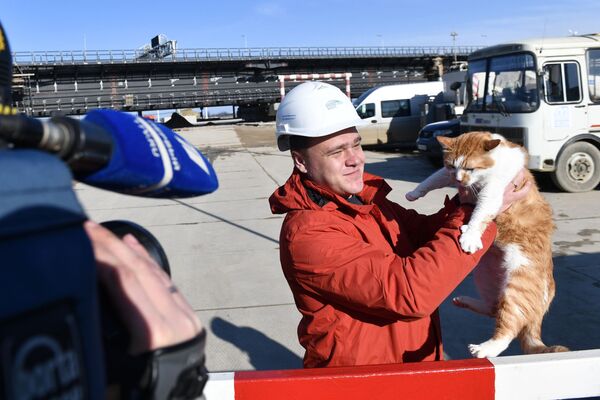 「モスチク(橋ちゃん)」と呼ばれる雄猫。クリミア大橋建設中、片時も作業員のそばを離れなかった - Sputnik 日本