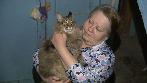 オブニンスク市で猫のマーシャがダンボールに捨てられた赤ん坊を救った。マーシャは赤ん坊を暖めながら大きな泣き声で助けを呼んだ。子どもは無事救出され、マーシャは世界中で称賛を浴びた - Sputnik 日本