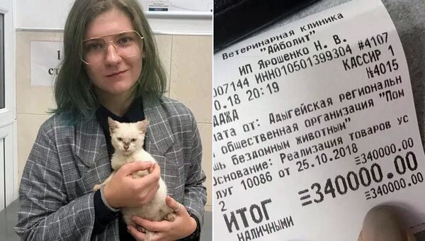 マイコープ市の女子学生アンナはホームレスの猫を世話するため、動物保護施設の負債34万ルーブル(約58万円)を肩代わりして返済した - Sputnik 日本