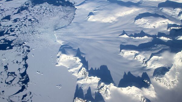 南極で100年前の玉ねぎが入った袋が見つかる - Sputnik 日本
