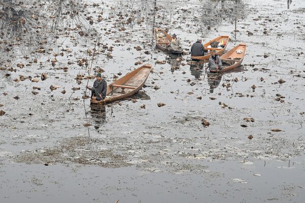 ニジェーン湖でボートに乗る男性たち　スリナガル - Sputnik 日本
