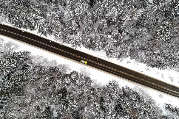 モスクワ郊外の森林の中の道路を走る車
モスクワ郊外の森林の中の道路を走る車
- Sputnik 日本