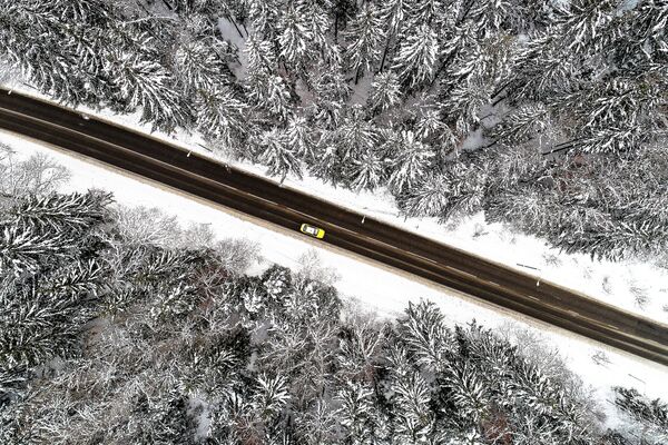 モスクワ郊外の森林の中の道路を走る車
 - Sputnik 日本