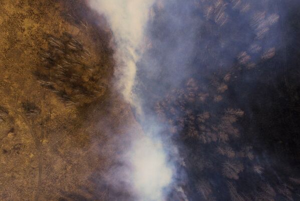 ケメロヴォ州で発生した森林火災
 - Sputnik 日本