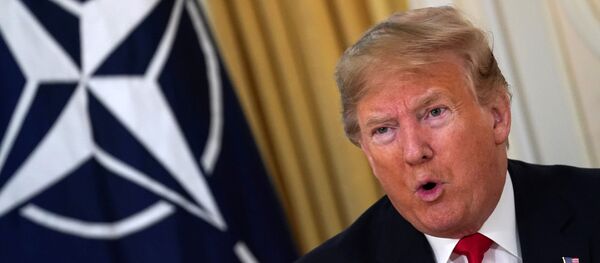 トランプ大統領「私はブレグジットのファン」 トランプ大統領「私はブレグジットのファン」 - Sputnik 日本