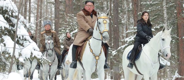 金正恩委員長　北朝鮮の聖なる山 - Sputnik 日本