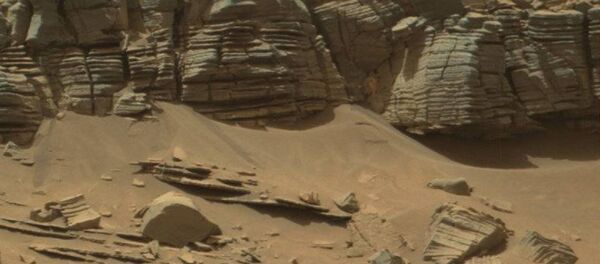 火星画像から「エイリアン」に似た石が見つかる 火星画像から「エイリアン」に似た石が見つかる - Sputnik 日本