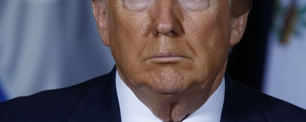 トランプ大統領 トランプ大統領 - Sputnik 日本
