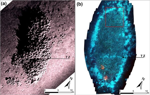 船倉に6千個の壺 ローマ帝国の沈没船が発見 ギリシア 船倉に6千個の壺 ローマ帝国の沈没船が発見 ギリシア - Sputnik 日本