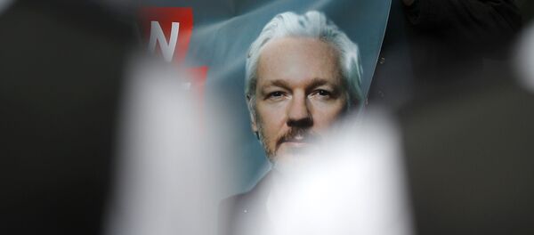 アサンジ氏 - Sputnik 日本