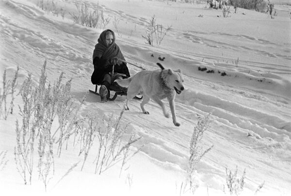 犬ぞりを楽しむ少女　１９７１年 - Sputnik 日本