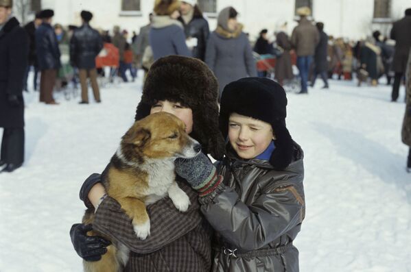 子犬と少年　カルゴポリにて　１９８７年 - Sputnik 日本
