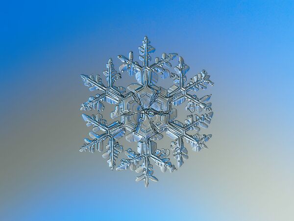 雪の結晶のマクロ写真。繊細な模様を鮮明に捉える - Sputnik 日本