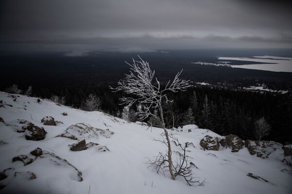 ジュラトクリ国立公園の冬の景色 - Sputnik 日本