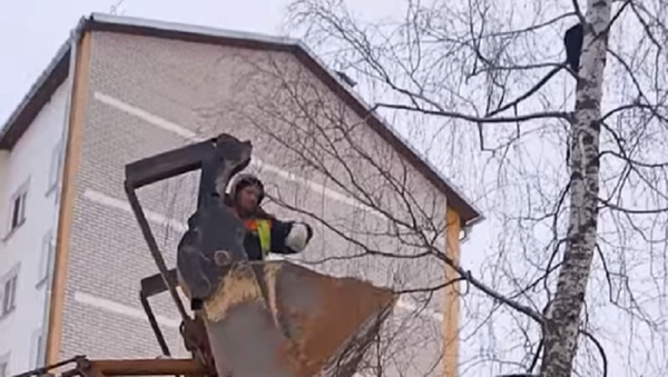 建設作業員、木からネコを救出　ベラルーシ　 - Sputnik 日本