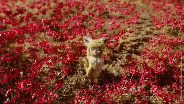 「ごん -GON,THE LITTLE FOX-」