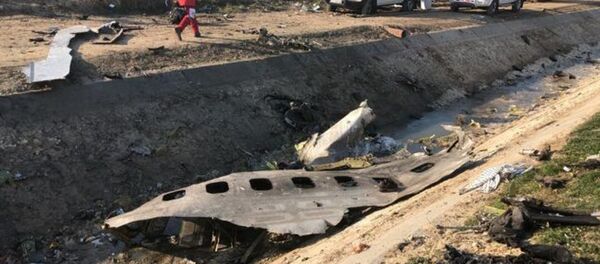 ウクライナ機 - Sputnik 日本