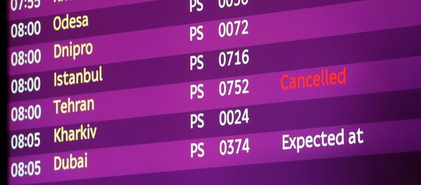 ウクライナ・ボリスポル空港で　墜落事故犠牲者の家族 - Sputnik 日本