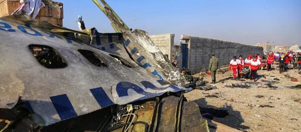 イランでボーイング機墜落 - Sputnik 日本