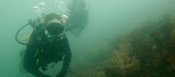 ロシア・フリーダイビング協会の会長　スペインで行方不明に - Sputnik 日本