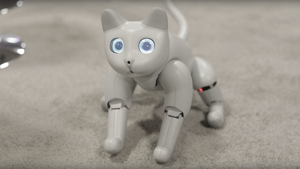 ロボット猫 - Sputnik 日本