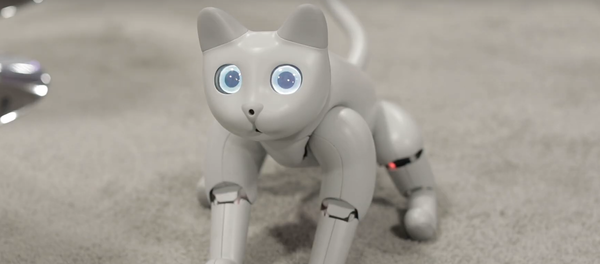 ロボット猫 - Sputnik 日本