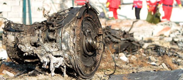 ウクライナ機撃墜 ウクライナ機撃墜 - Sputnik 日本