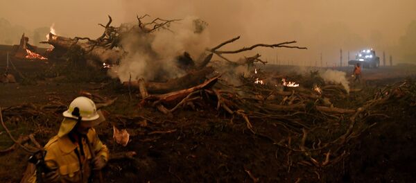 オーストラリア森林火災 - Sputnik 日本