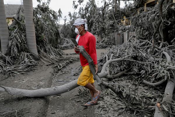 噴火で倒れた木々の除去作業に追われる男性　タリサイ市にて
 - Sputnik 日本