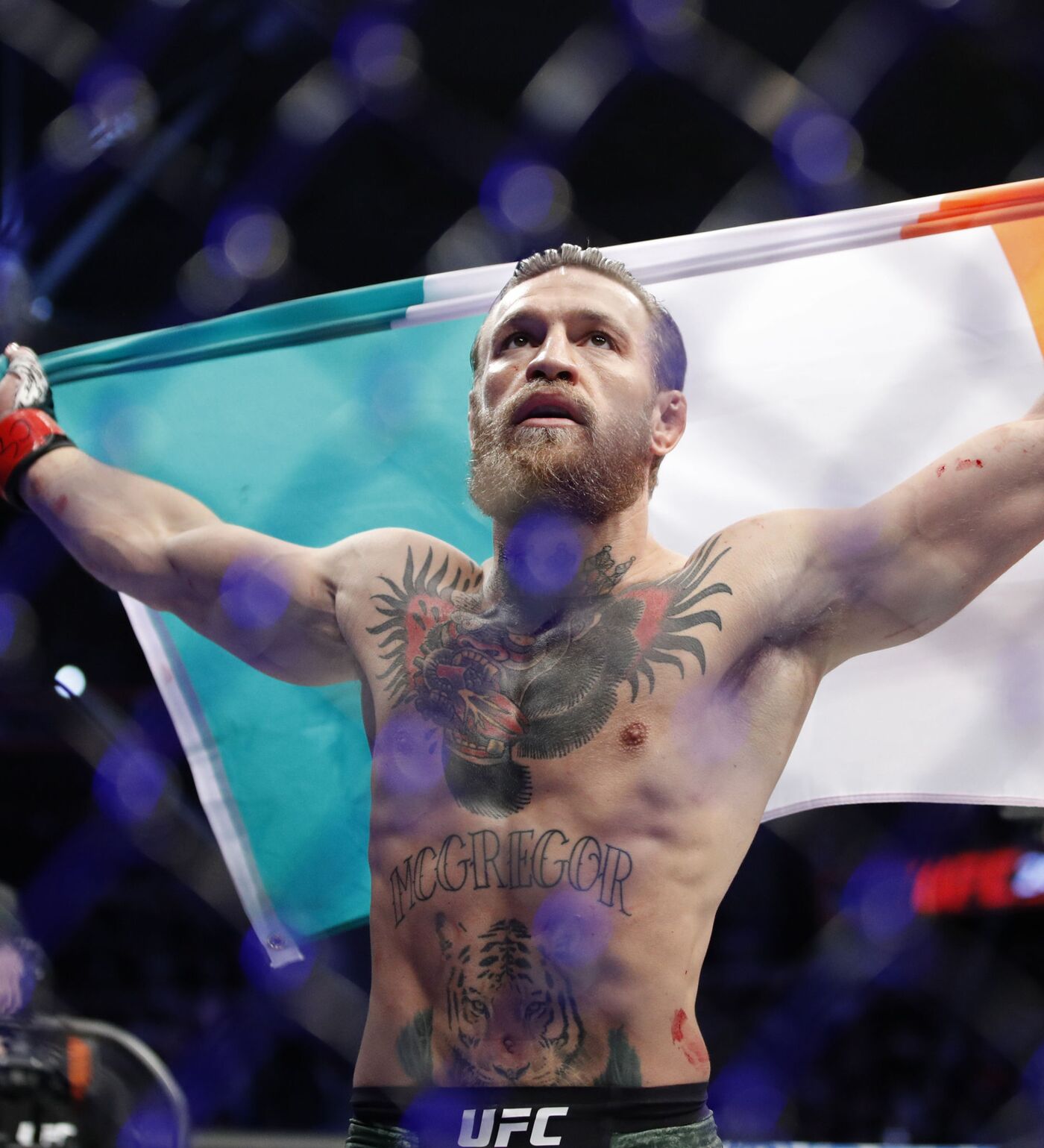 Amazon.co.jp: UFC コナーマクレガー メモラビリアカード