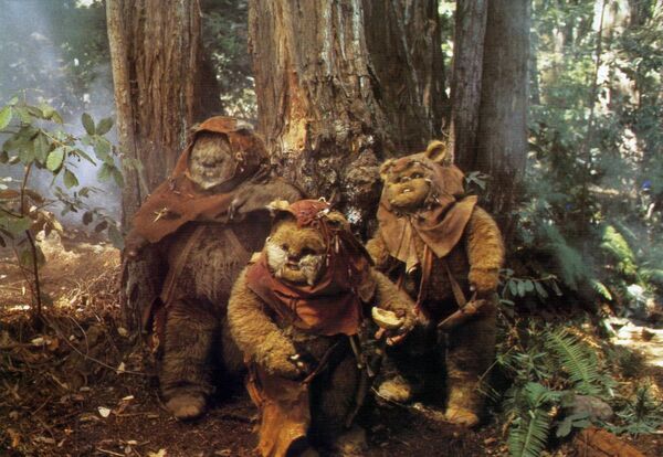 「宇宙空間で迷彩服って…」 米宇宙軍の軍服がなぜ迷彩? ネットで冷笑【写真】 「宇宙空間で迷彩服って…」 米宇宙軍の軍服がなぜ迷彩? ネットで冷笑【写真】 - Sputnik 日本