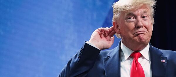 トランプ米大統領 トランプ米大統領 - Sputnik 日本