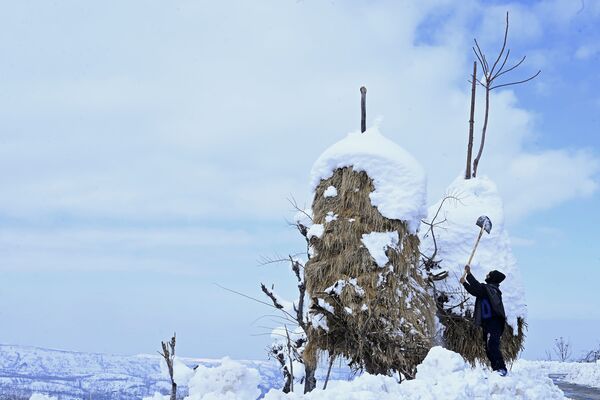 干し草の山に積もった雪をおろす住民　インドのとある村にて - Sputnik 日本
