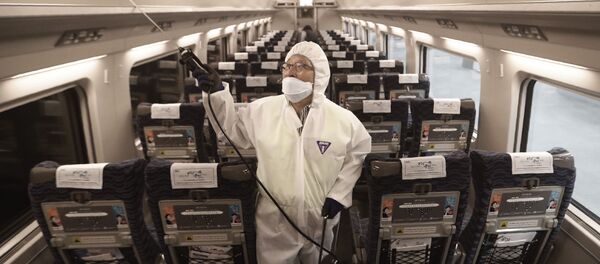 新型コロナウイルス 新型コロナウイルス - Sputnik 日本