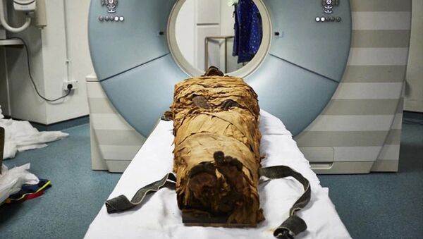 Компьютерная томография мумии жреца Несьямуна - Sputnik 日本