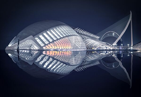 ペドロ・ルイス・アジュリアグエラ・サイス氏（スペイン）の作品『魚』　The Art of Building 2019最優秀作品
 - Sputnik 日本