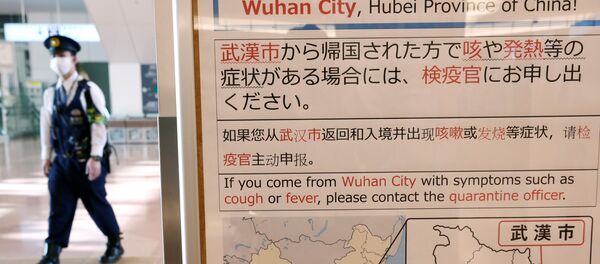 羽田空港(1月20日) 羽田空港(1月20日) - Sputnik 日本