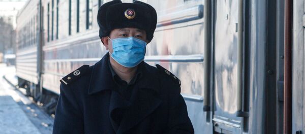 新型コロナウイルス2019-nCoV - Sputnik 日本