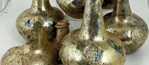 17世紀のワインボトル 17世紀のワインボトル - Sputnik 日本