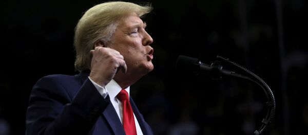 トランプ大統領(アーカイブ写真) トランプ大統領(アーカイブ写真) - Sputnik 日本