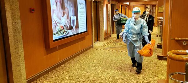 韓国、ダイヤモンド・プリンセス号から韓国人を大統領機で避難へ - Sputnik 日本