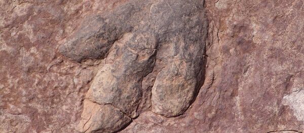 恐竜(アーカイブ写真) 恐竜(アーカイブ写真) - Sputnik 日本