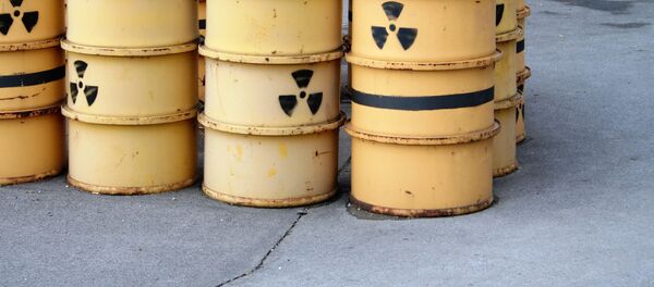 日本、プルトニウム削減へ　しかしどの方法も高リスク - Sputnik 日本