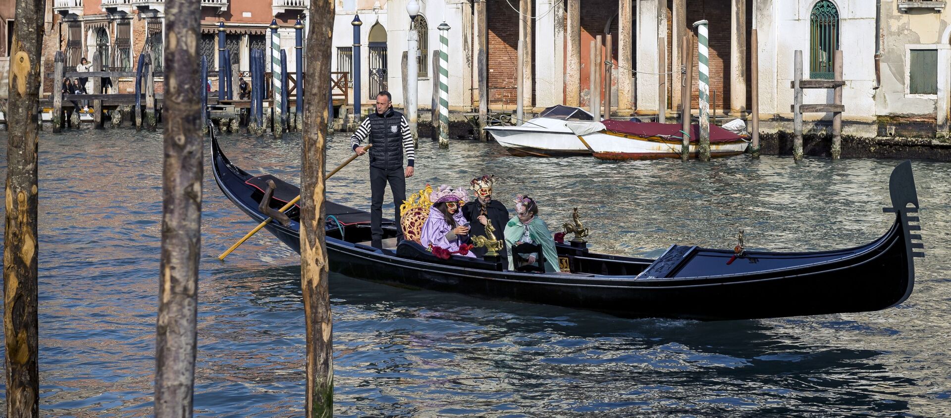 パンデミックが背景　ヴェネツィアの運河でイルカが泳ぐほど自然が浄化 - Sputnik 日本, 1920, 25.03.2021
