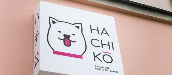 Hachiko Hachiko - Sputnik 日本