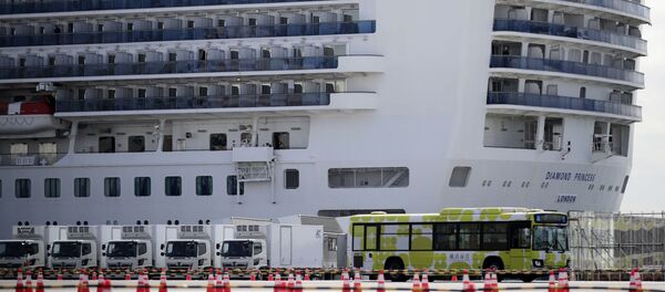 「ダイヤモンド・プリンセス」号 - Sputnik 日本