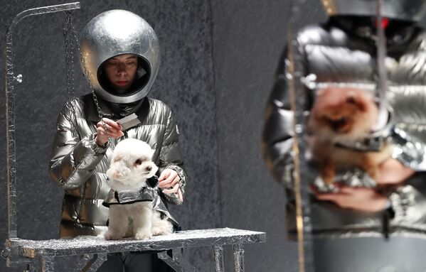 ミラノ・ファッション・ウイークでモンクレールをプレゼンするモデルと犬　（イタリア・ミラノ） - Sputnik 日本