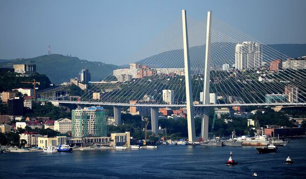 イスタンブールのボスポラス大橋？いいえ！ウラジオストクの黄金の橋だ。金角湾にかかる斜張橋。2012年8月11日開催のAPECサミットにあわせて建設された。長さは1388.09ｍ。 - Sputnik 日本