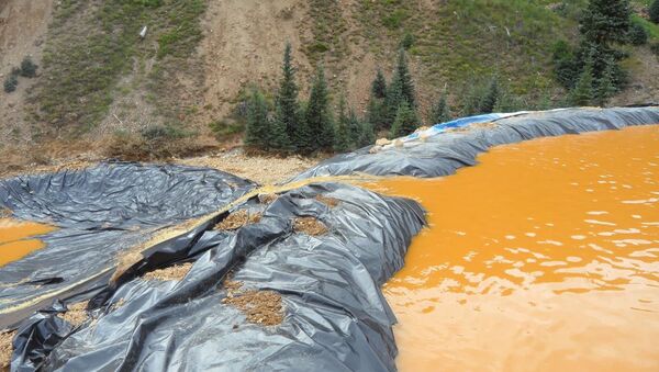 コロラドの川、毒性廃棄物で変色 - Sputnik 日本