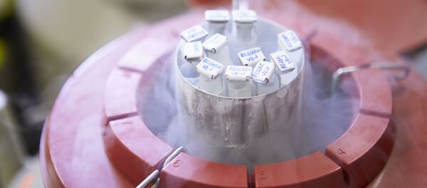 長期凍結保存の卵子 長期凍結保存の卵子 - Sputnik 日本
